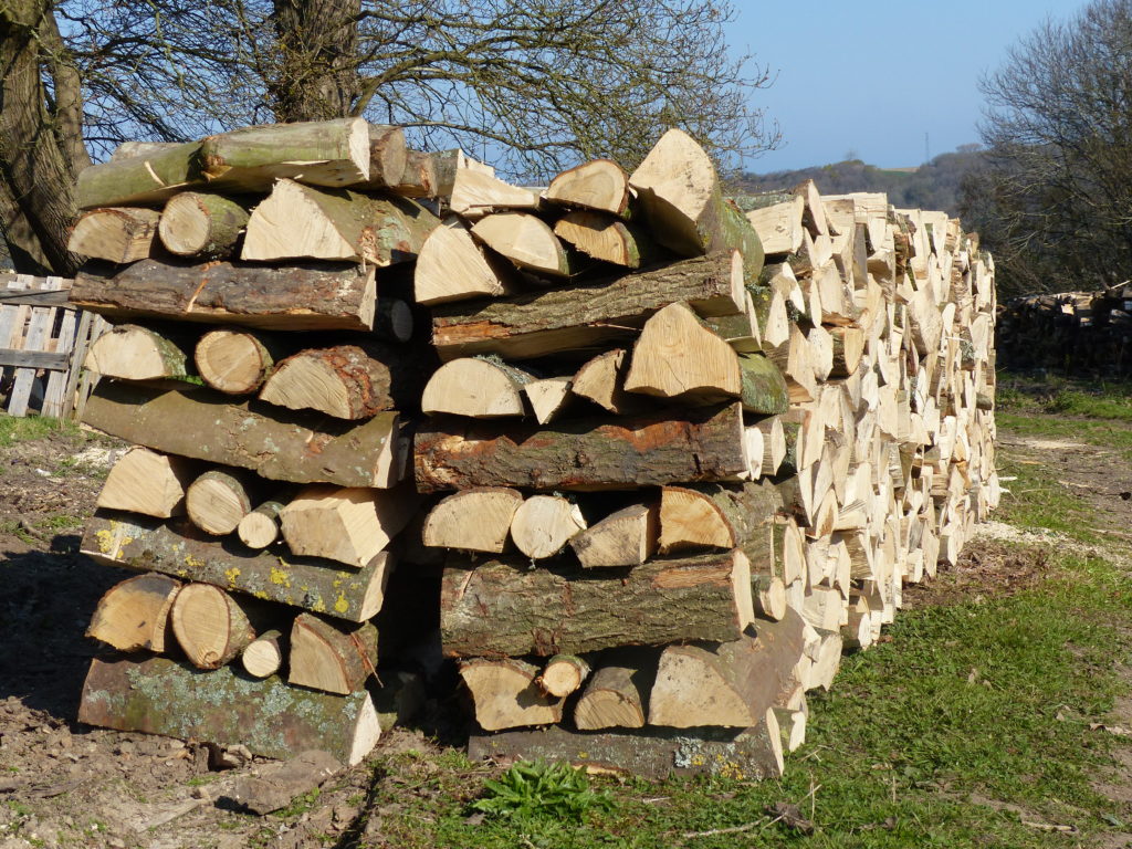 bois-de-chauffage-dutot-b-ridot