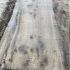 Planches chêne – Image 2